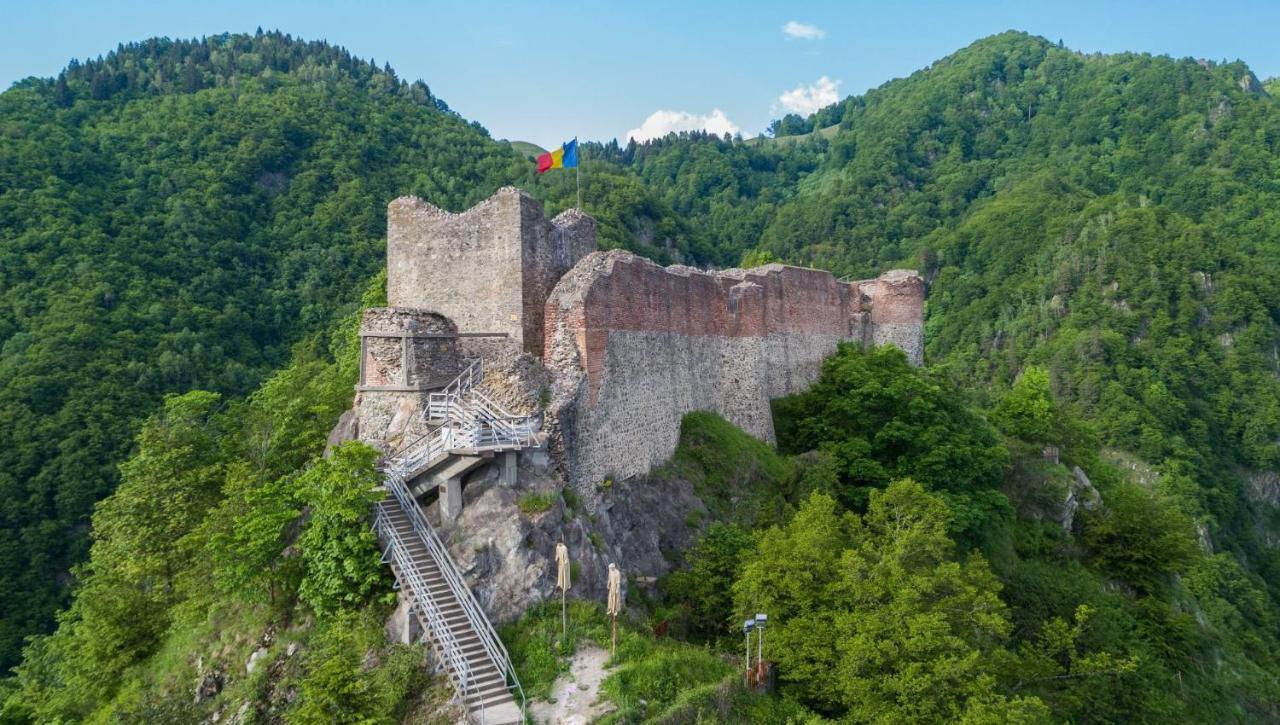 Casa Lupilor Transfagarasan Villa Căpăţîneni-Ungureni Eksteriør billede
