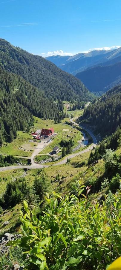 Casa Lupilor Transfagarasan Villa Căpăţîneni-Ungureni Eksteriør billede