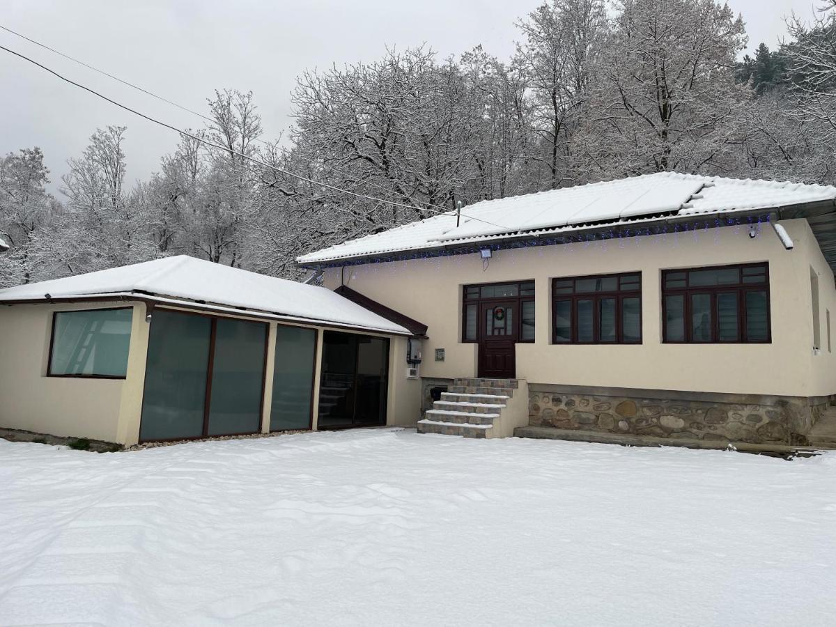 Casa Lupilor Transfagarasan Villa Căpăţîneni-Ungureni Eksteriør billede