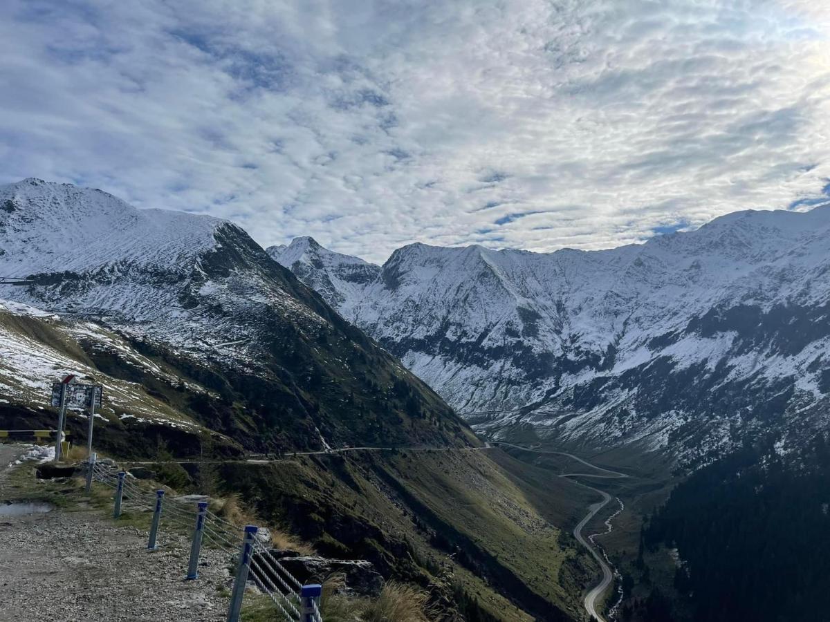Casa Lupilor Transfagarasan Villa Căpăţîneni-Ungureni Eksteriør billede