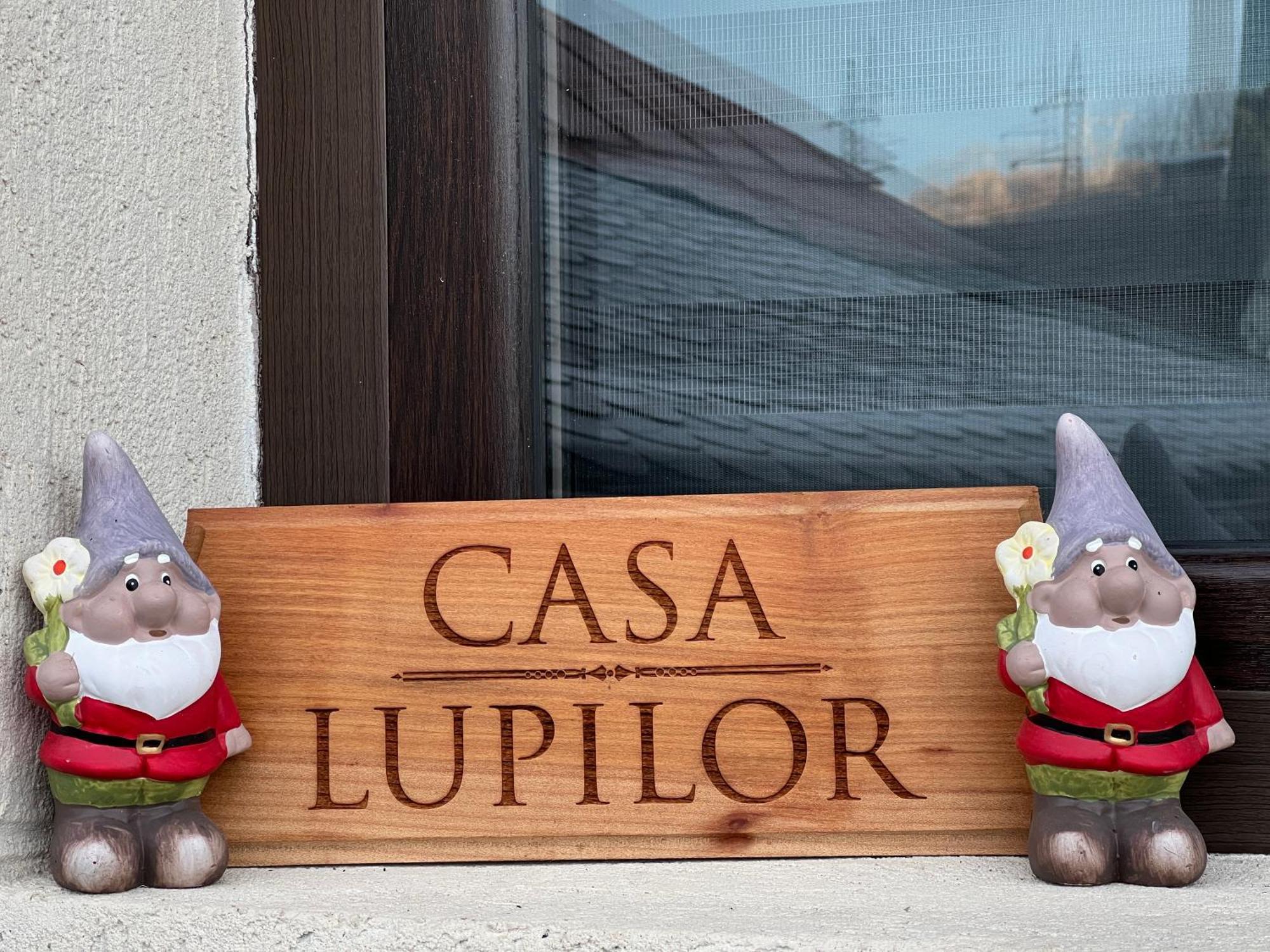 Casa Lupilor Transfagarasan Villa Căpăţîneni-Ungureni Eksteriør billede