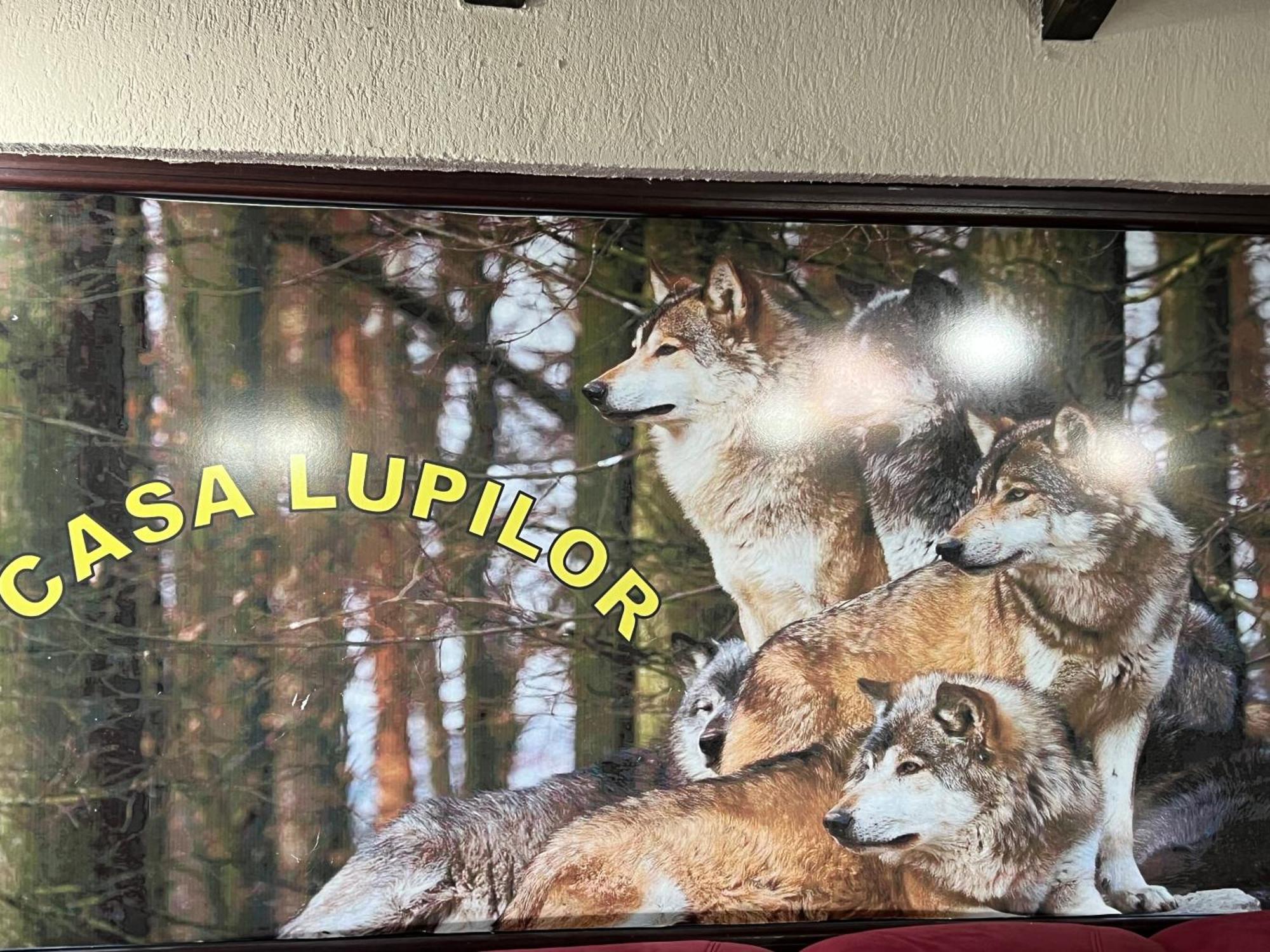 Casa Lupilor Transfagarasan Villa Căpăţîneni-Ungureni Eksteriør billede