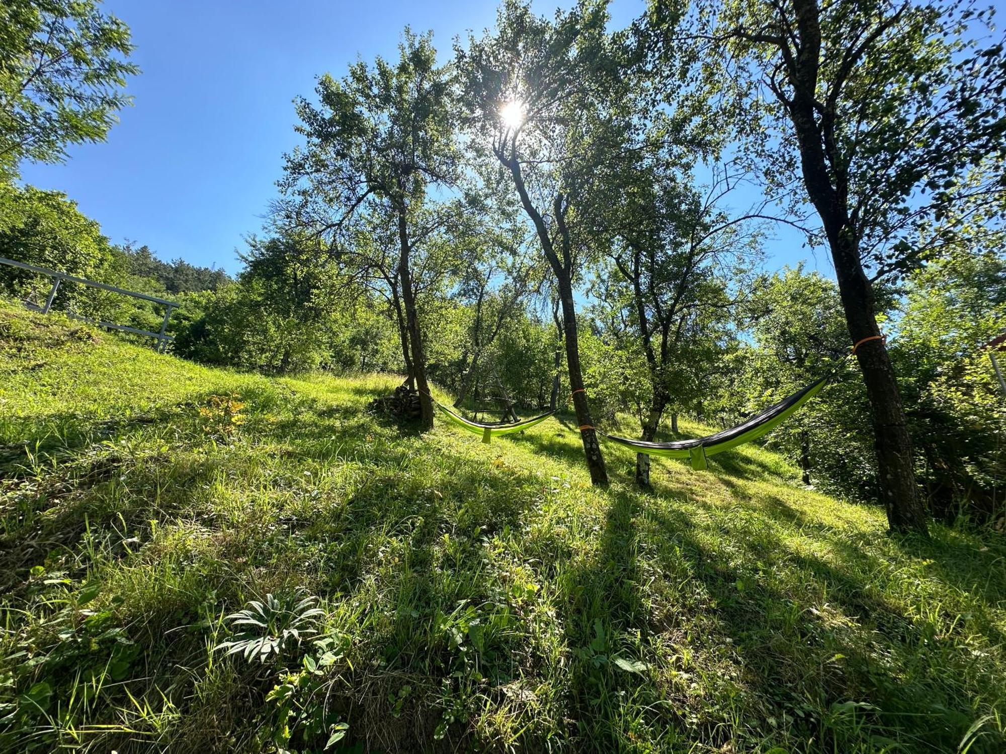 Casa Lupilor Transfagarasan Villa Căpăţîneni-Ungureni Eksteriør billede